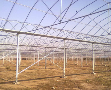 Greenhouse Structure
