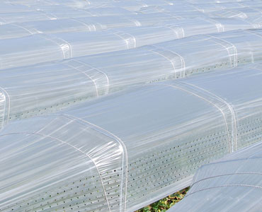 Greenhouse Accessories PE Film
